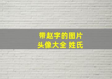 带赵字的图片头像大全 姓氏